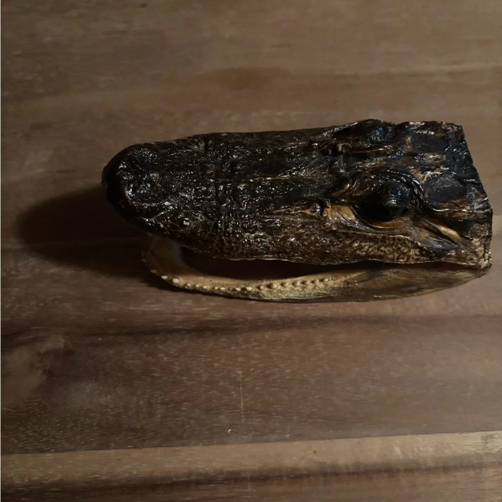 Realistic Brown Reptile Head Decor